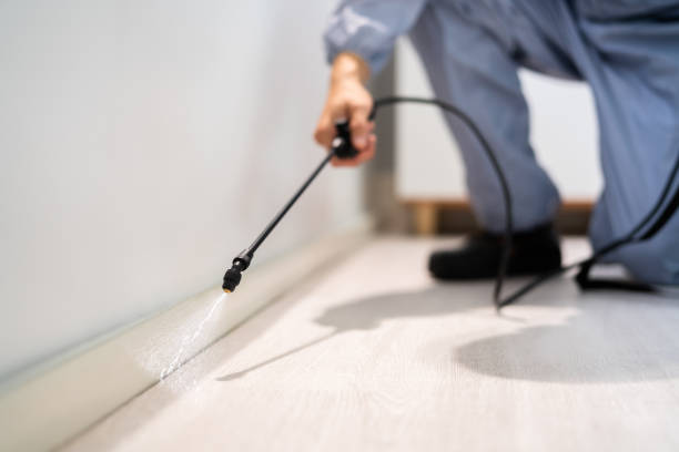 Licensed Cockroach Control service in Mountain Iron, MN - Nex Pest Control