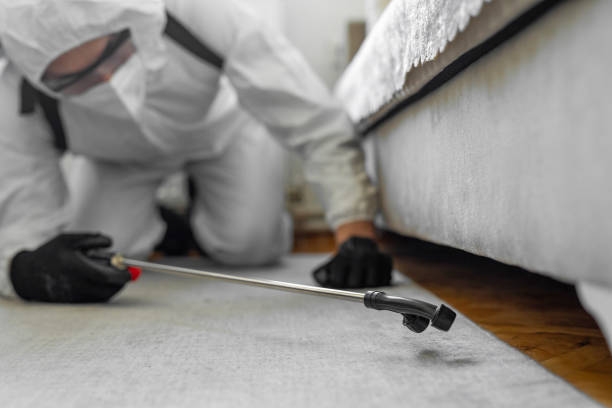Professional Cockroach Control technician working in Mountain Iron, MN